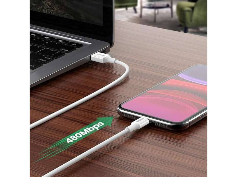 UGREEN US155 1M LIGHTNING TO USB CABLE