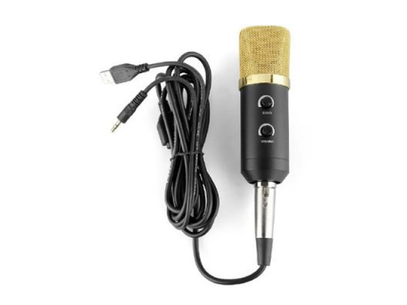 BM-100FX Condenser Microphone